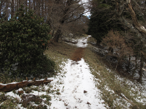 20181214hike (471)